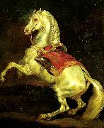 cheval cabre, dit tamerlan  Theodore   Gericault